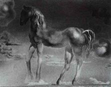 1976_12_the unicorn (unfinished) 1976.jpg